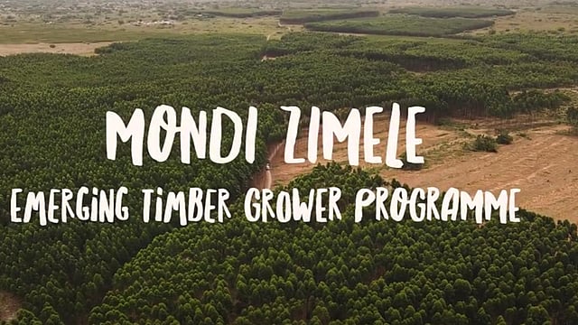 Mondi Zimele Emerging timber grower programme video